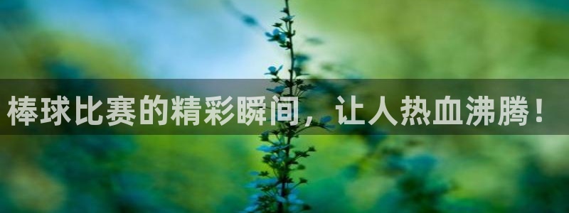 意昂2登录：棒球比赛的精彩瞬间，让人热血沸腾！