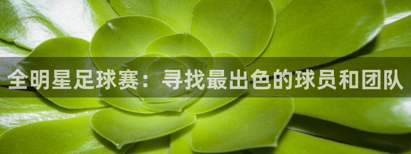意昂2官方网站：全明星足球赛：寻找最