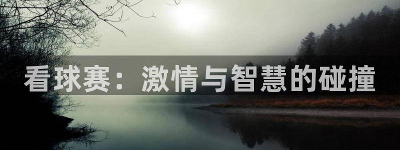 意昂2体育在线平台登录：看球赛：激情与智慧的碰撞