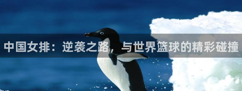意昂2娱乐平台开户：中国女排：逆袭之路，与世界篮球的精彩碰撞