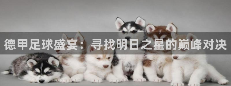 意昂2开户：德甲足球盛宴：寻找明日之