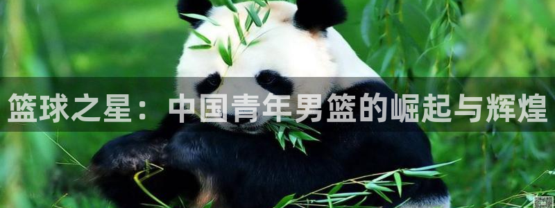 意昂2平台股东：篮球之星：中国青年男篮的崛起与辉煌