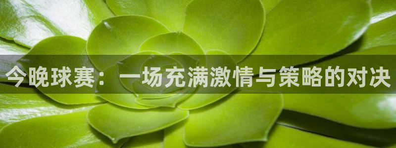 意昂2体育官方网站：今晚球赛：一场充满激情与策略的对决