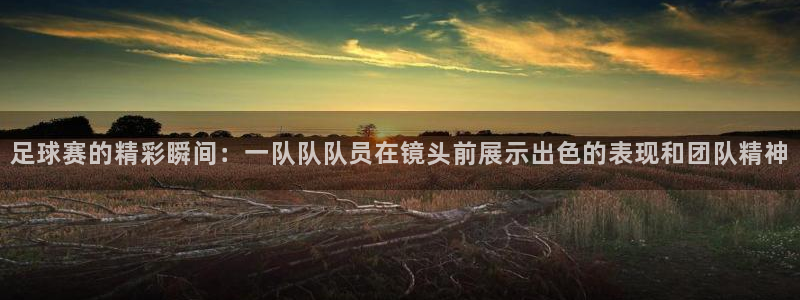 意昂2官网：足球赛的精彩瞬间：一队队