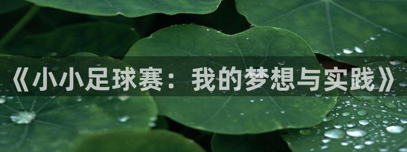  意昂2账号登录入口：《小小足球赛：我的梦想与实践》