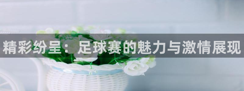  意昂2代理注册：精彩纷呈：足球赛的魅力与激情展现
