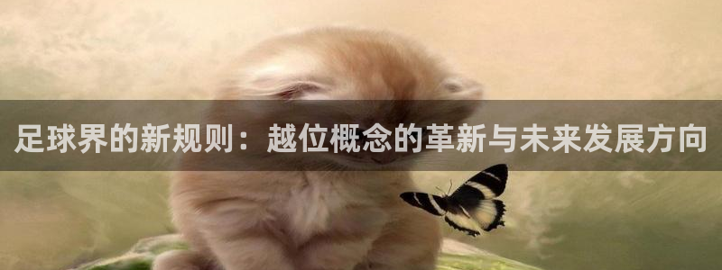  意昂2体育在线平台登录：足球界的新规则：越位概念的革新与未来