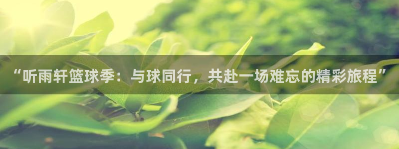 意昂2登录入口：“听雨轩篮球季：与球同行，共赴一场难忘的精彩