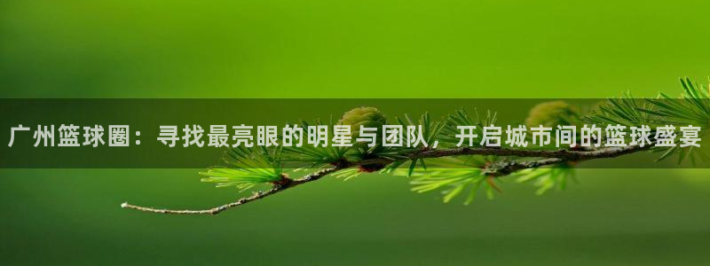  意昂2官网：广州篮球圈：寻找最亮眼的明星与团队，开启城市间的