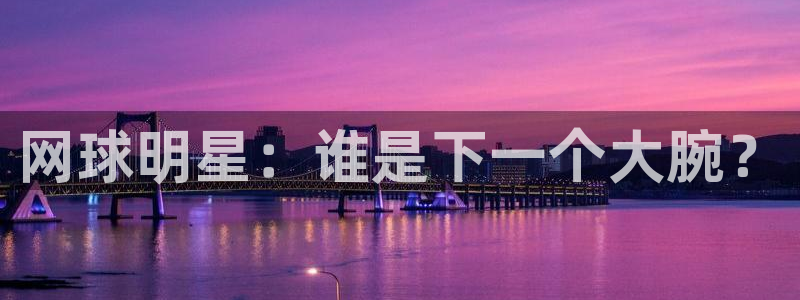 意昂2体育：网球明星：谁是下一个大腕