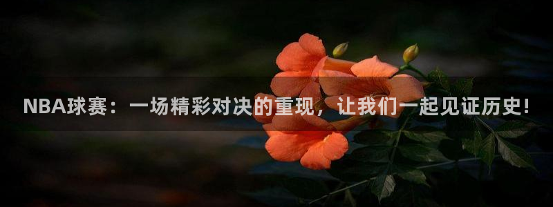 意昂2娱乐直属：NBA球赛：一场精彩对决的重现，让我们一起见