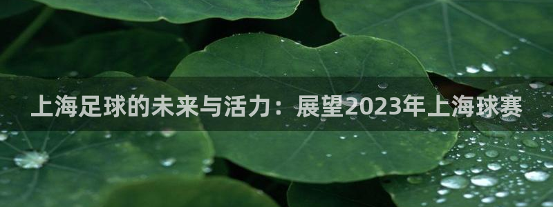 意昂2登录地址：上海足球的未来与活力：展望2023年上海球赛