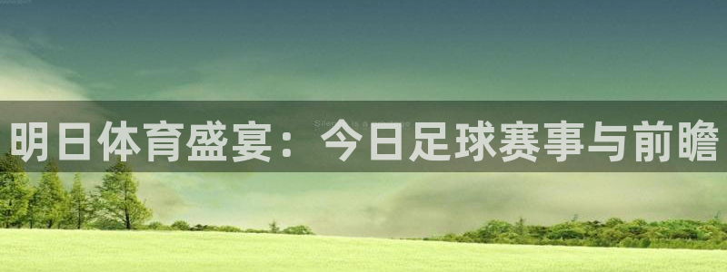  意昂2账号登录入口：明日体育盛宴：今日足球赛事与前瞻