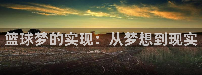  意昂2平台：篮球梦的实现：从梦想到现实