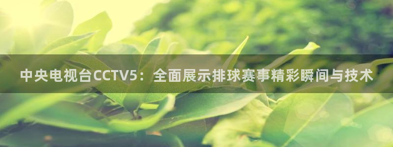 意昂2官网：中央电视台CCTV5：全