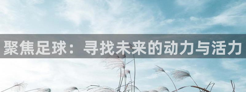 意昂2平台股东：聚焦足球：寻找未来的动力与活力