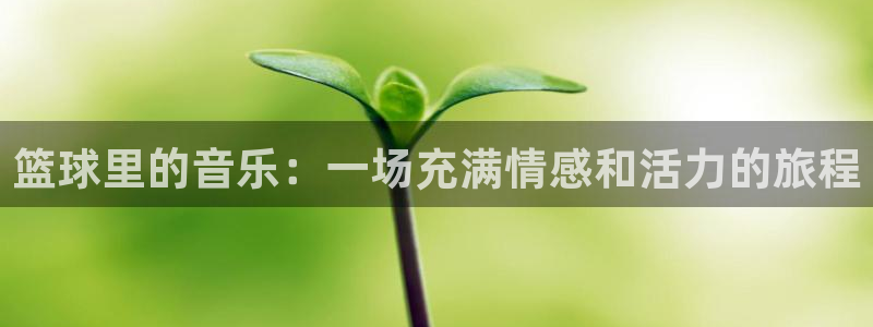 意昂2意昂2平台：篮球里的音乐：一场充满情感和活力的旅程