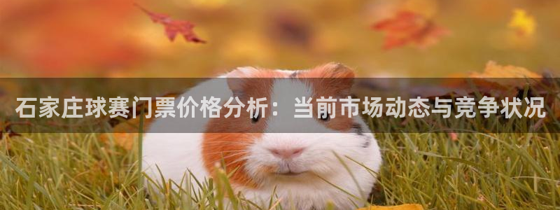  意昂2代理注册：石家庄球赛门票价格分析：当前市场动态与竞争状