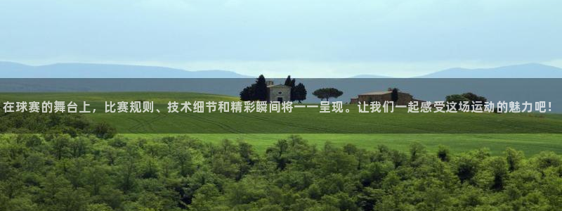  意昂2体育在线平台登录：在球赛的舞台上，比赛规则、技术细节和
