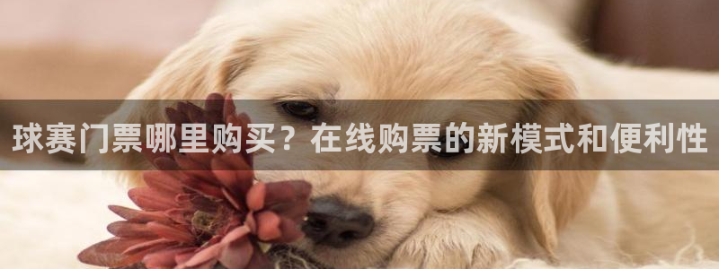 意昂2体育：球赛门票哪里购买？在线购