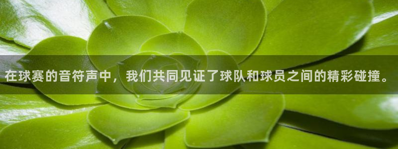 意昂2平台登录：在球赛的音符声中，我们共同见证了球队和球员之