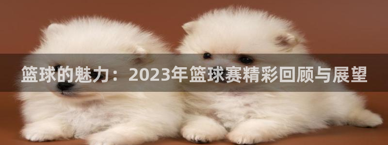 意昂2平台怎么样：篮球的魅力：202