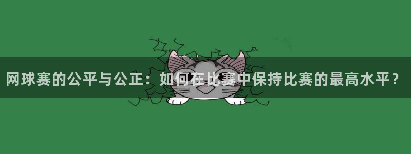  意昂2官方网站：网球赛的公平与公正：如何在比赛中保持比赛的最