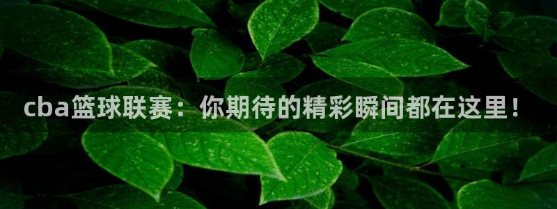 意昂2体育平台：cba篮球联赛：你期待的精彩瞬间都在这里！