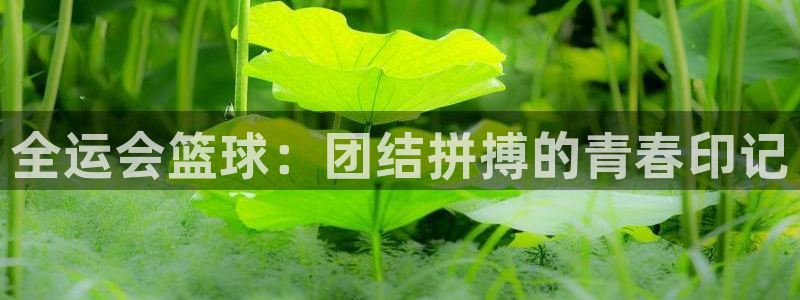 意昂2意昂2平台：全运会篮球：团结拼