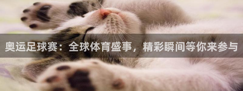 意昂2官方网站：奥运足球赛：全球体育盛事，精彩瞬间等你来参与