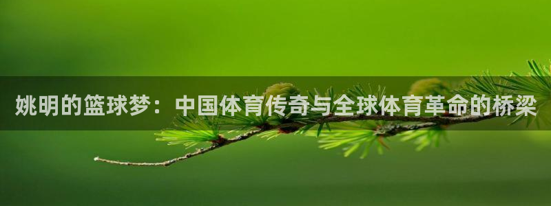 意昂2意昂2平台：姚明的篮球梦：中国